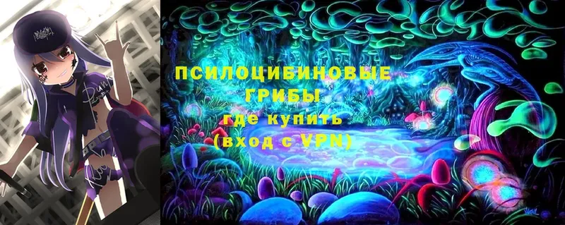 даркнет сайт  Николаевск-на-Амуре  Псилоцибиновые грибы MAGIC MUSHROOMS 